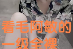 黄色一级视频播放,深度解析其内容与影响