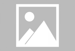 牛牛视频下载,轻松获取海量视频资源攻略