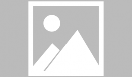 百合 视频,探寻花语中的情感奥秘